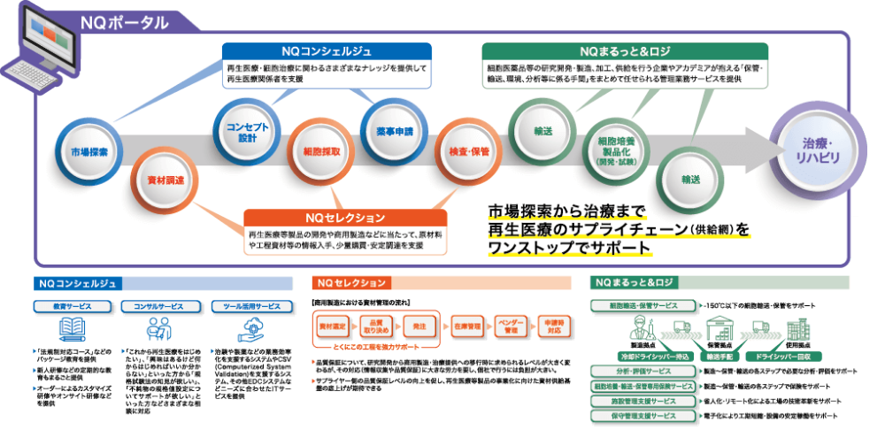 市場探索から治療まで再生医療のサプライチェーン（供給網）